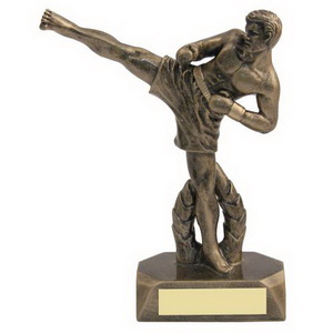 Martial arts award